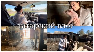 ТАТАРСКИЙ ВЛОГ | Натурально деревенский контент