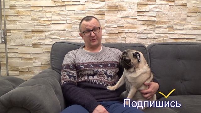 Хочешь СОБАКУ? Что нужно знать перед покупкой ЩЕНКА!!! смотреть онлайн