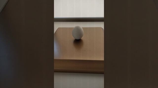 #shorts Какое яйцо самое большое? смотреть онлайн