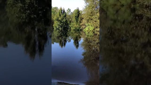 Waccamaw River Flood 2018 Leaving home смотреть онлайн