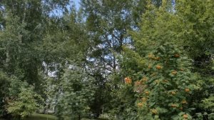 "Утренняя молитва" П.И. Чайковский