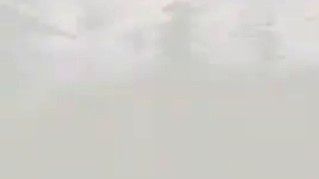 Carnivores 2 смотреть онлайн