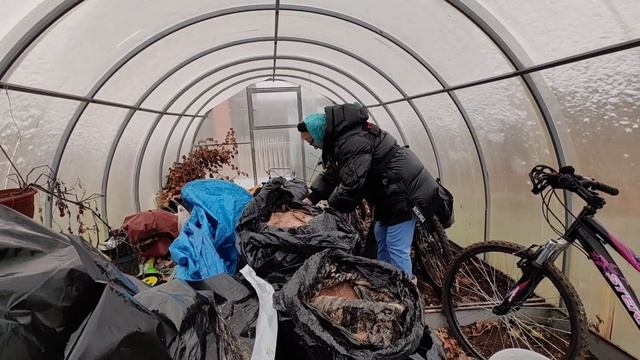 КАК РАБОТАЮТ БАКТЕРИИ.