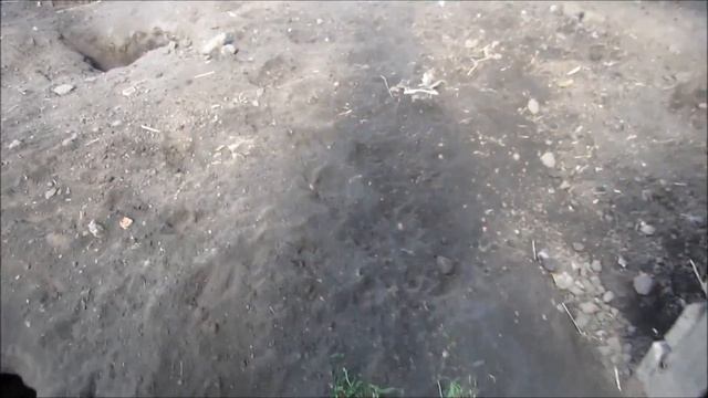 The Sound of a Fox Barking смотреть онлайн