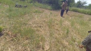 карбыш (хомяк) сожрал всю морковь