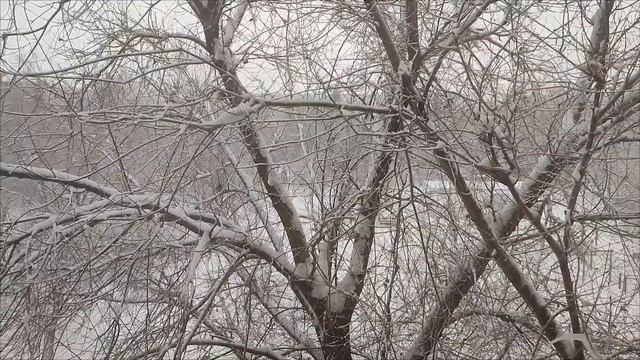 ЭТОТ КОТ ВЕЗДЕ.🐱😅 (Смотреть до конца) смотреть онлайн