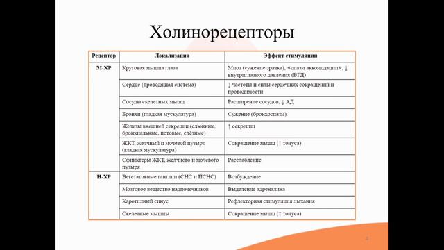 4.1. Холинергическая система. Холинотропные средства смотреть онлайн
