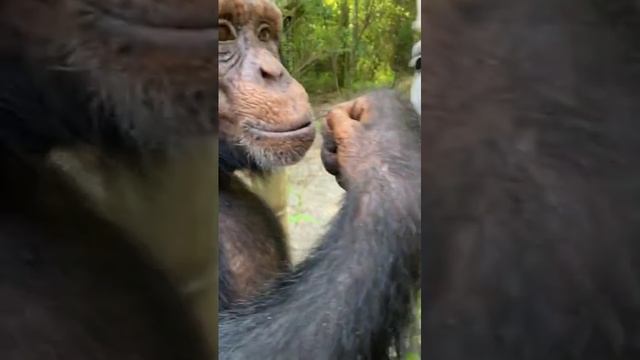 video_2@05-08-2020_10-27-28.mp4 смотреть онлайн