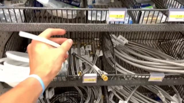 СОБИРАЕМ НОВУЮ КОЛЛЕКЦИЮ МУРАВЬЕВ В КАНАДЕ! смотреть онлайн