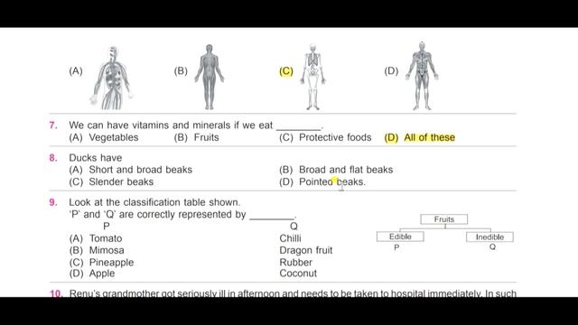 CLASS - 3 | NSO | National Science Olympiad | Solved Sample Paper Of 2020 - 2021 | SOF-NSO смотреть онлайн