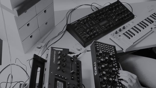 Access Virus C + Moog Mother-32 improvisation смотреть онлайн