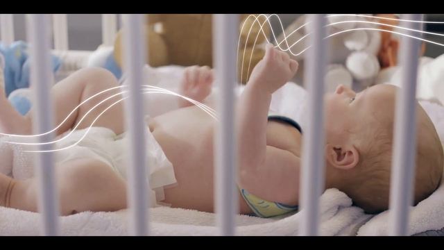 The Bambi Belt video смотреть онлайн