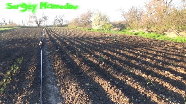 ➤ПОЛИВ КАРТОФЕЛЯ.СУПЕР!!! КОНСТРУКЦИЯ. смотреть онлайн