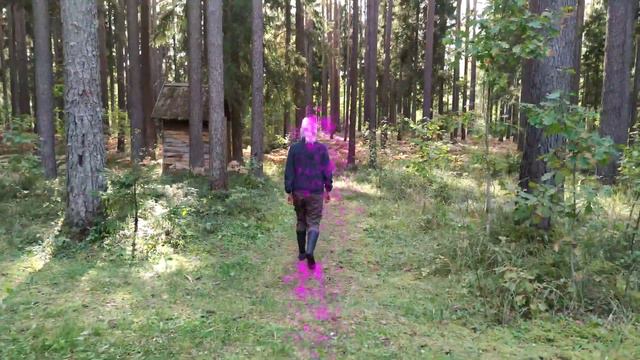 Собачья работа или что такое след? смотреть онлайн