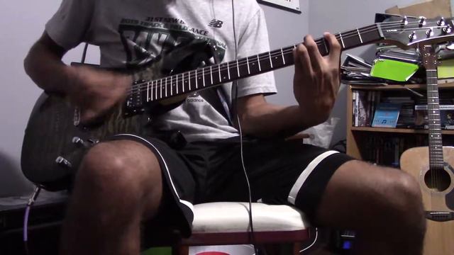 blink-182 - Dysentery Gary (Guitar Cover) смотреть онлайн