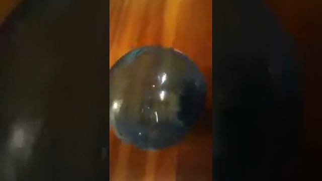 Gerbil in a ball смотреть онлайн