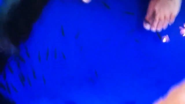 Спа рыбками смотреть онлайн