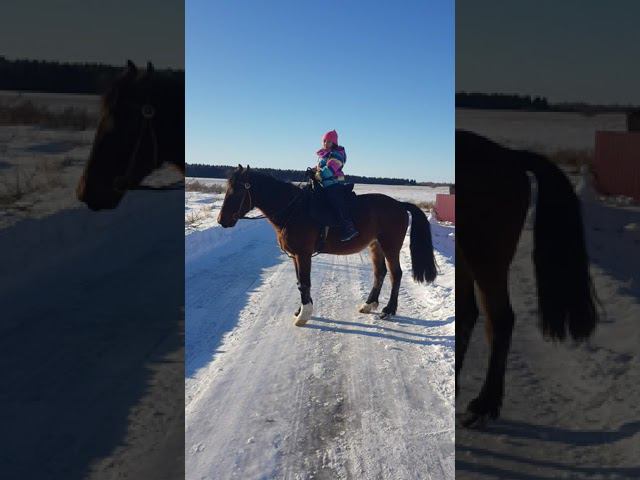 Внедорожный конь смотреть онлайн