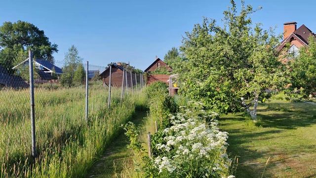 2023.06.18. Погода Петербург.06:30. +16°. Дальние предместья. Ветерок. Прохладно. смотреть онлайн