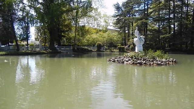 Дендрарий Сочи 2023 смотреть онлайн