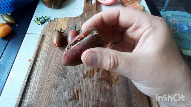 томат Фиолетовая Фея - обзор и дегустация сорта. смотреть онлайн