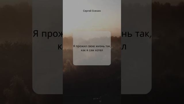 С.Есенин #shorts смотреть онлайн