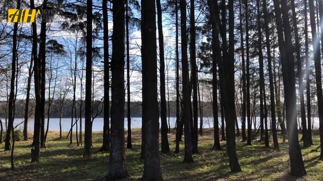 Шикарный участок в престижном КП Аквавилла смотреть онлайн