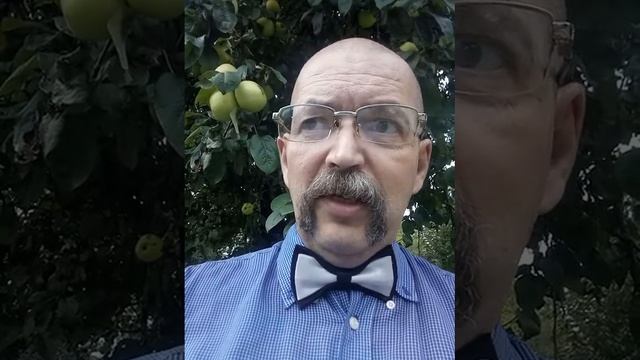 Золотые правила воспитания собак. Правило 29. Читает автор. смотреть онлайн
