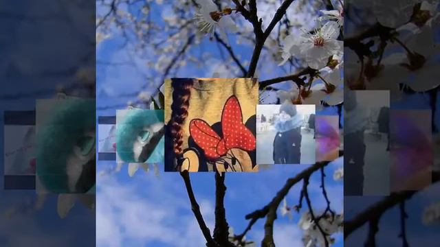 Слайд шоу! смотреть онлайн