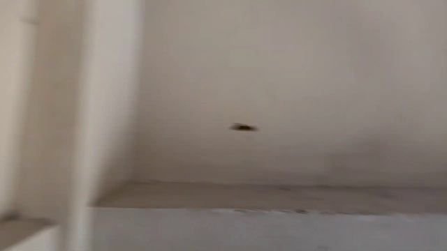 Болеть лучше дома. Выгуливаю больную руку в Нарве. смотреть онлайн