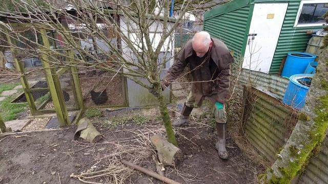 Very Odd Mole Damage | Allotments For Fun and Food смотреть онлайн