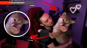 МАРТИ ПРИШЁЛ на СТРИМ ЭДИСОНА