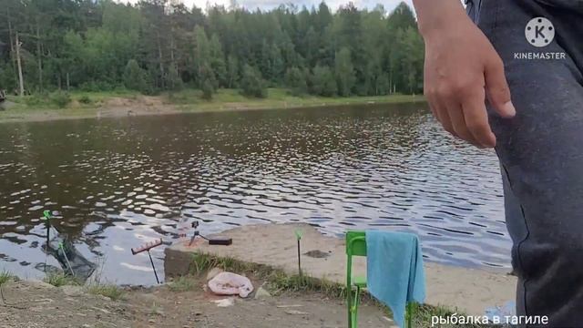 Озера продолжает радовать карасями и Лещами своими размерами . Ловля карася на фидер!!!( Часть 1 )