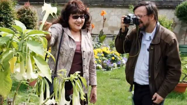 Инна Карлина Владимир Новоженин смотреть онлайн