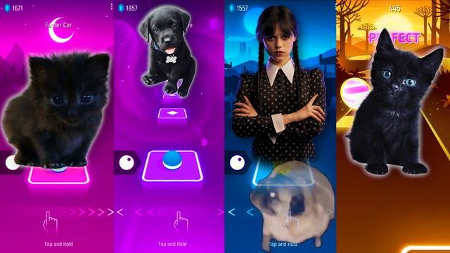 Cute Cats vs Cute Dog vs Wednesday Addams | Lady Gaga Bloody Mary | Bongo Cat | ? Tiles Hop EDM Rus смотреть онлайн