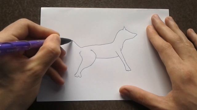 Как поэтапно нарисовать ВОЛКА для начинающих и детей? How to DRAW WOLF смотреть онлайн
