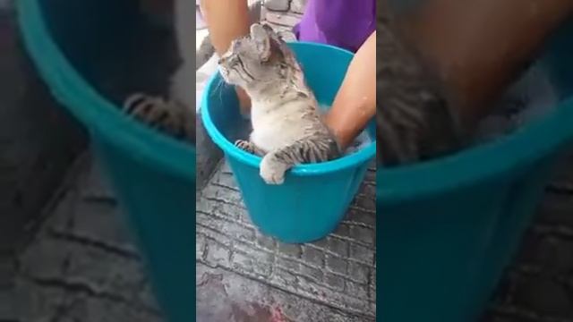 принять ванну смотреть онлайн