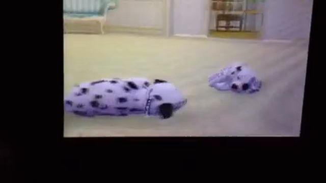 Nintendogs (+cats) Breeding смотреть онлайн
