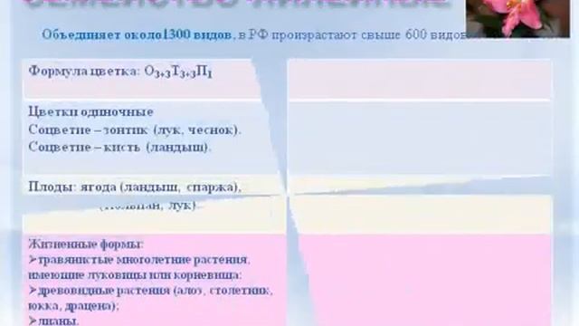 Однодольные растения.AVI смотреть онлайн