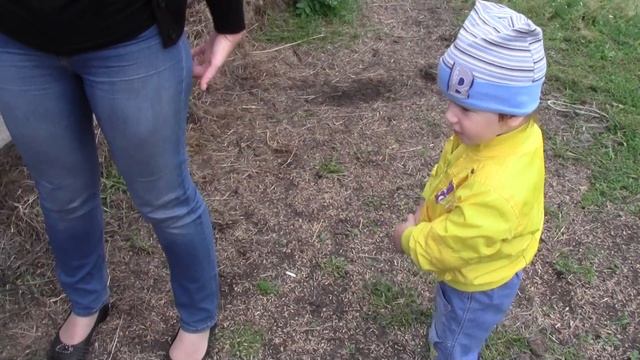 Так вот ты какой - Северный Олень ! смотреть онлайн