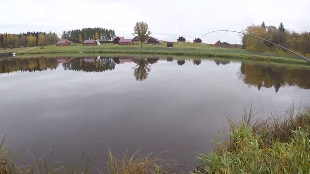 ЩУКА НА КОЛЕБЛЮЩИЕСЯ БЛЕСНА. Береговой спиннинг в Беларуси #28 смотреть онлайн