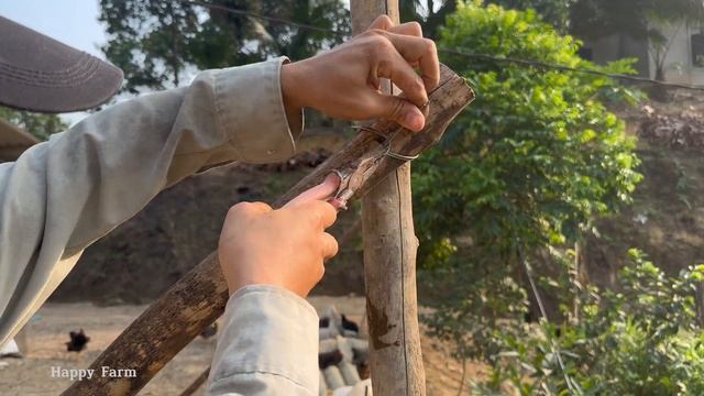 Raising chickens, making a place for chickens to stand, How to care for chickens in the summer смотреть онлайн