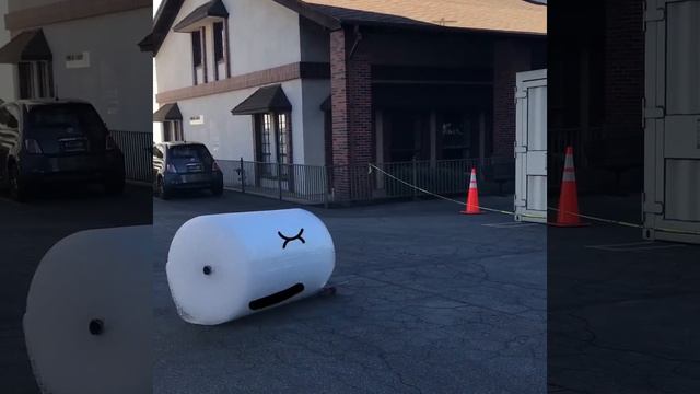 The B-wrap & ShyPuff Collection смотреть онлайн