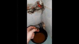 Чистка газовой колонки Бош