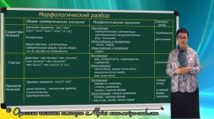 Морфологический разбор слова. Как сделать морфологический разбор слова? Русский язык.