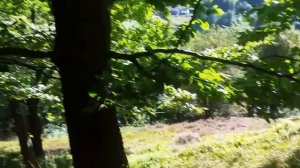 Lift and Carry a 60kg Girl downhill in Summer