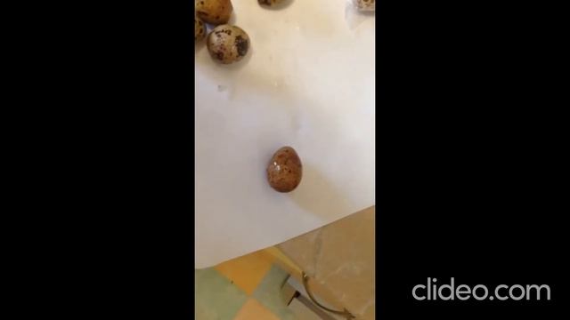 как почистить свежие варенные перепелиные яйца смотреть онлайн