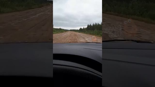 Дорога в Северодвинск 16.08.2019 / Подслушано Онега смотреть онлайн