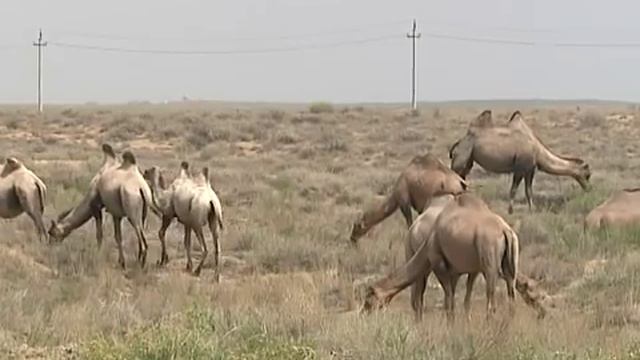 "Протон-М" (КazSat-2) смотреть онлайн