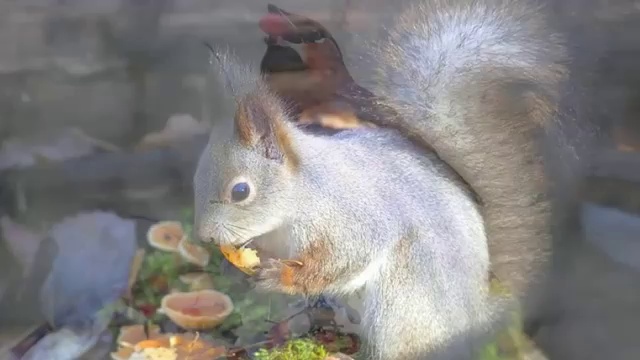 Diana Ross and Lionel Ritchie - Endless Love смотреть онлайн